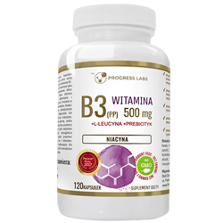 PROGRESS LABS Niacyna Witamina B3 (PP) 500mg + Inulina 120 kaps